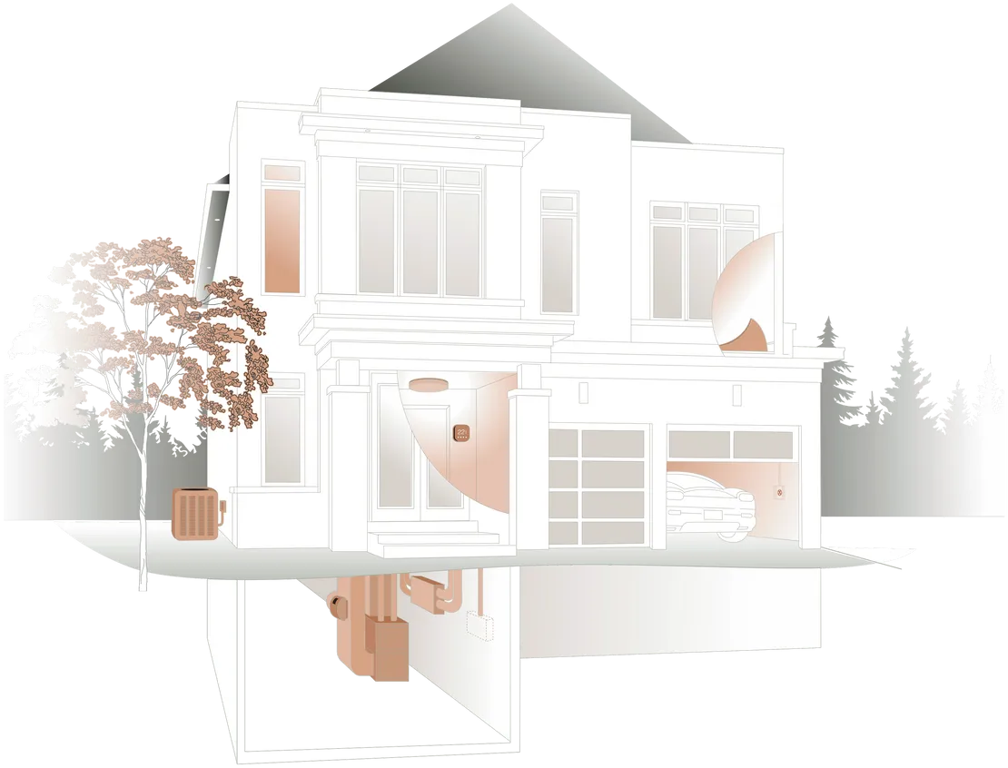 Home Anatomy
