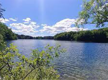 Lake view