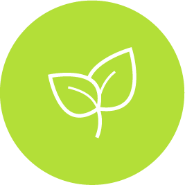 Deco Homes - Home Care Spring Guide